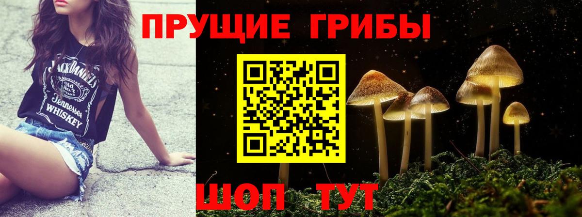 Псилоцибиновые грибы мухоморы Находка